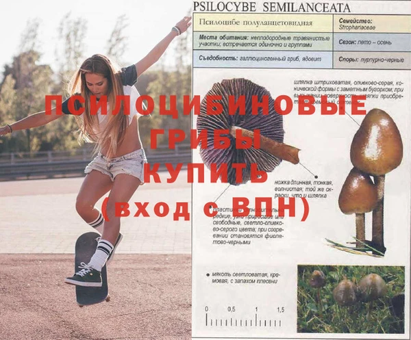 меф Покачи