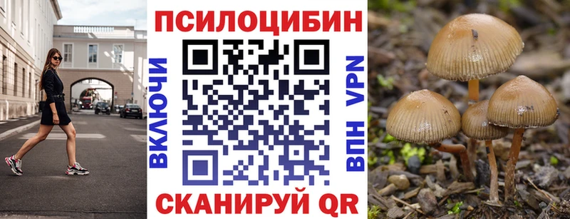 Псилоцибиновые грибы Cubensis  Ивангород 